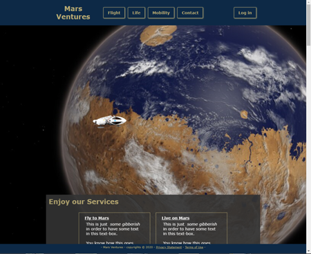 Image of the website